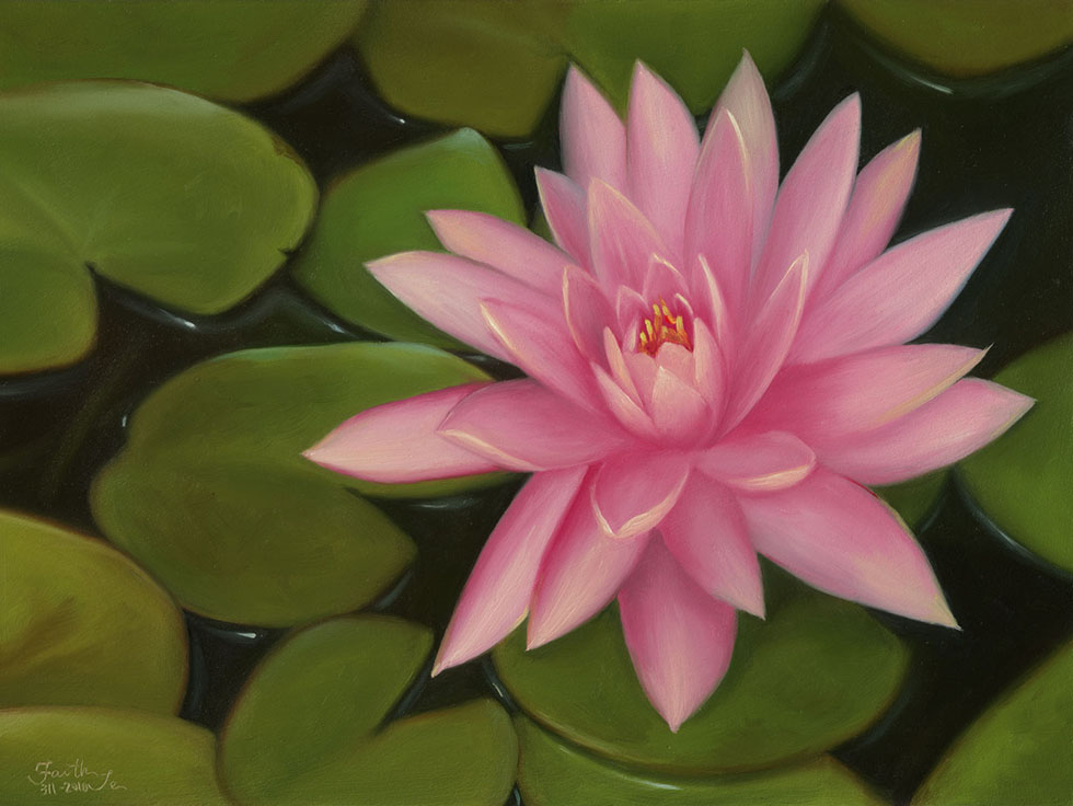Lotus Flower Painting
